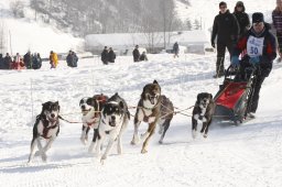 Lenk 2012 SM